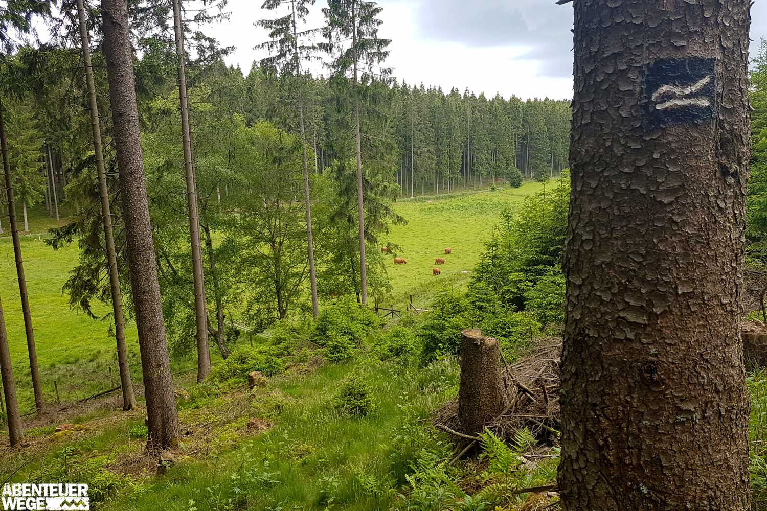 Beschilderung auf dem Rothaarsteig
