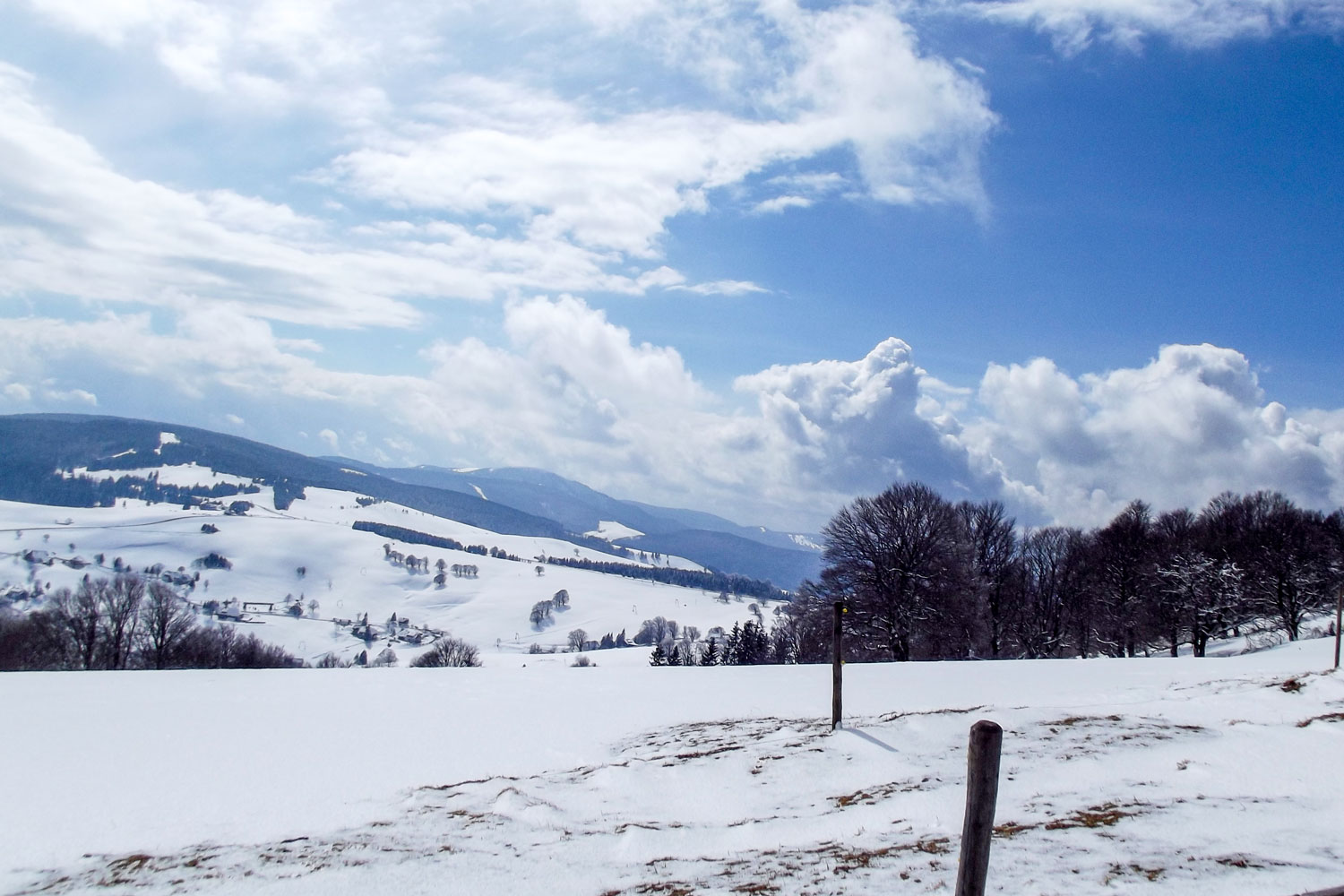 Winterwanderlandschaft im Schwarzwald