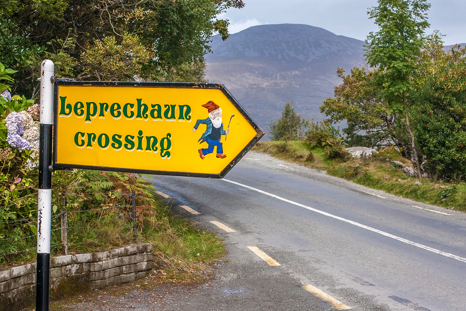 Leprechaun Warnschild