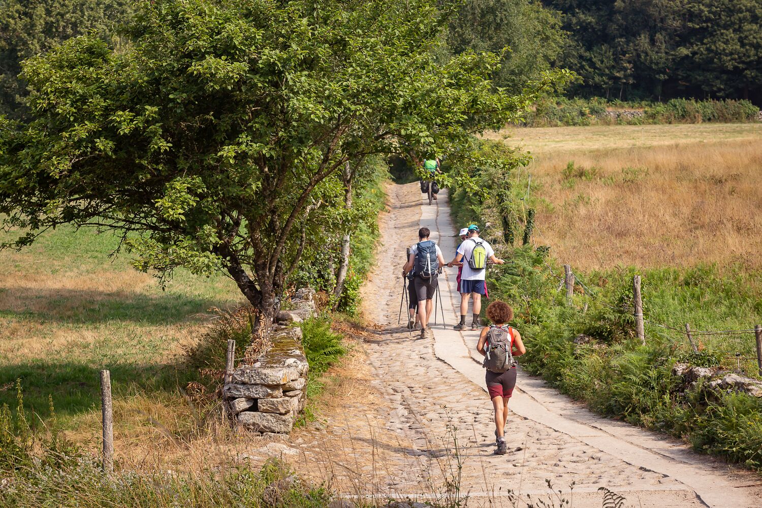 Gesellschaft auf dem Jakobsweg